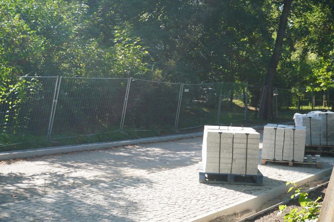 Rewitalizacja Parku Planty w Białymstoku latem 2025