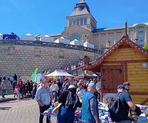 Piknik nad Odrą