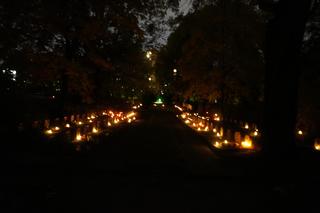 Cmentarz na poznańskiej Cytadeli nocą
