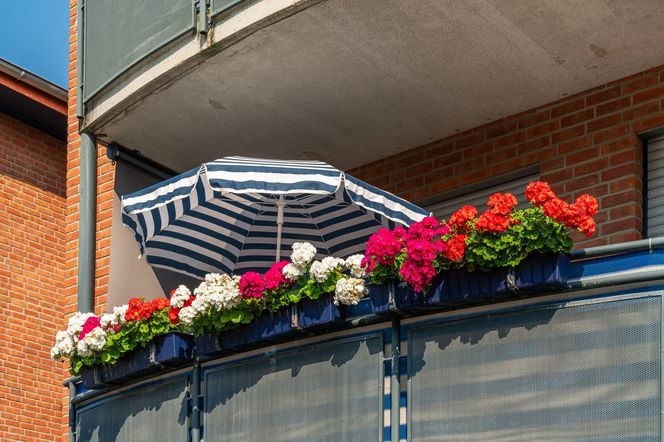 Balkon latem