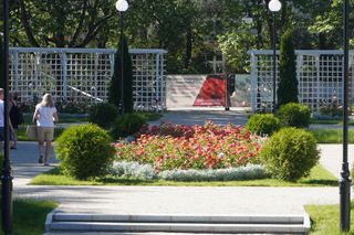 Ogród Rożany w Białymstoku w pełnym rozkwicie
