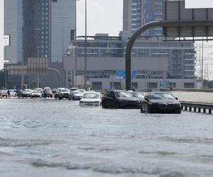 Zjednoczone Emiraty Arabskie pod wodą 