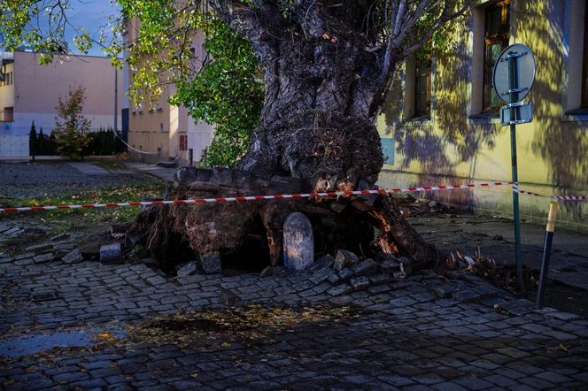 Polska pod naporem wichur! Strażacy nie mieli chwili wytchnienia