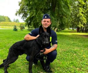 Policyjne psy w Lubuskiem - DEX (Zielona Góra)