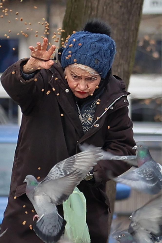 Anna Chodakowska. Gwiazda "Labiryntu" wśród ptaków