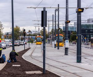 Budowa tramwaju do Wilanowa na kilka tygodni przed otwarciem