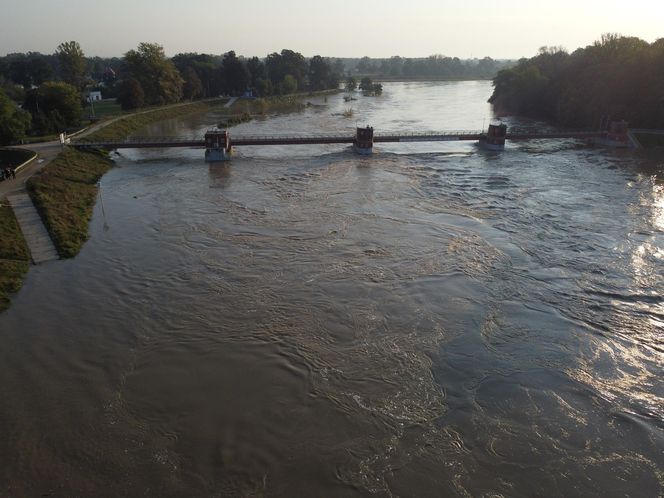 Powódź we Wrocławiu. Tak wygląda Odra w czwartek 19.09.2024 