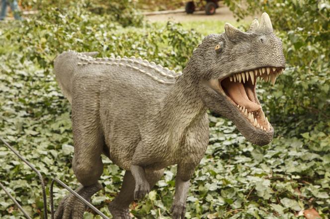 Dinozaury opanowały wrocławski ogród botaniczny