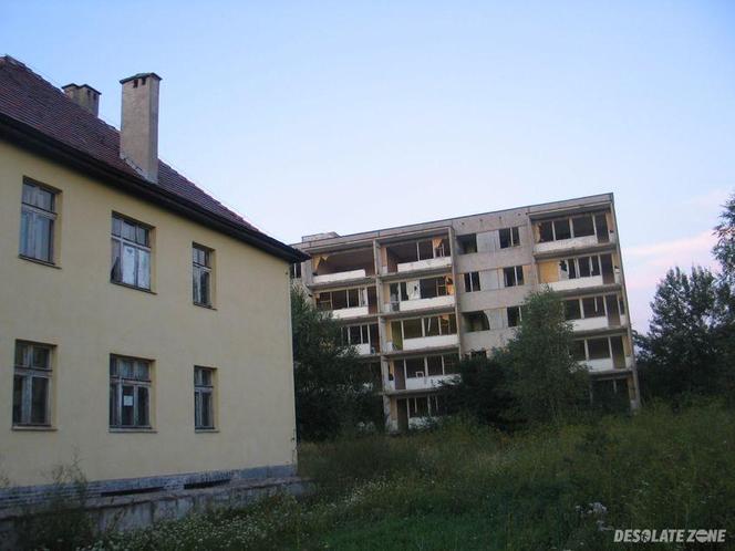 Kłomino