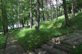 Cmentarz Wojenny Limanowa-Jabłoniec 