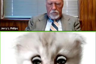  Nie jestem kotem. Sędzia zamienił się w kota