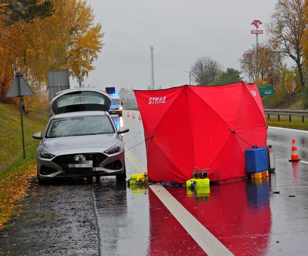 Zwłoki na drodze w Tarczynie. Policja szuka świadków