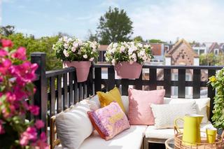 Modne doniczki balkonowe, nowoczesne donice na taras. Jak wybrać najlepsze? 
