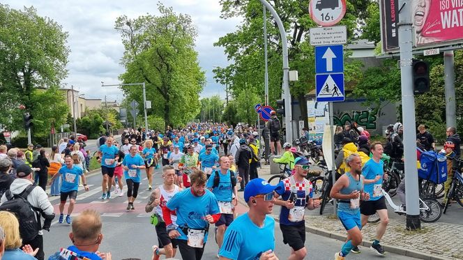 Wings for Life World Run