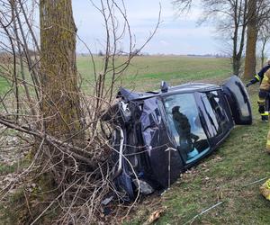 Auto wypadło z drogi i zatrzymało się na drzewie! O krok od tragedii pod Mogilnem [ZDJĘCIA]