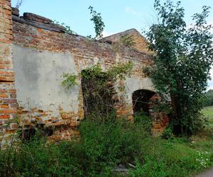 Zawieprzyce to perła Lubelszczyzny. To tu Maria Skłodowska-Curie jako nastolatka spędziła swoje ostatnie wakacje