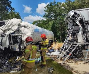 Śmiertelny wypadek na drodze krajowej nr 10 pod Bydgoszczą. Zderzyły się dwie ciężarówki [ZDJĘCIA]