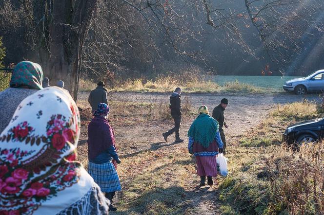 Rydze przegoniły żbika