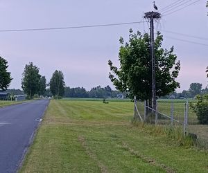 Ratował boćka na słupie, spadł z drabiny