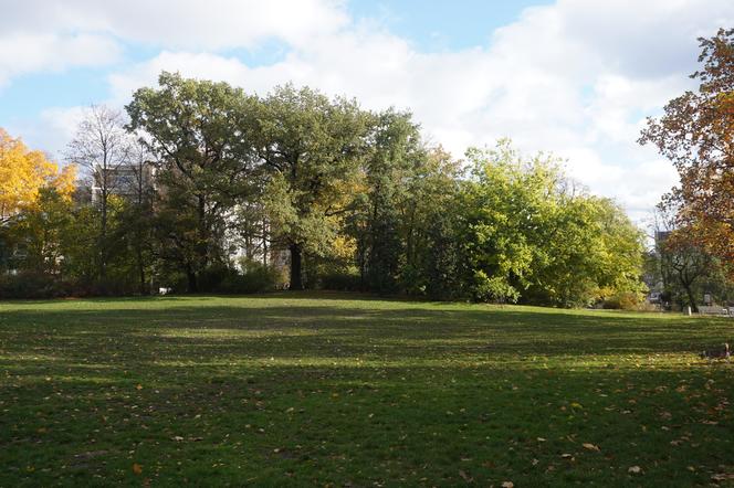 Park Wilsona jesienią