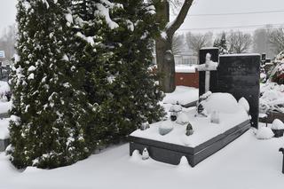 Grób Witolda Pyrkosza