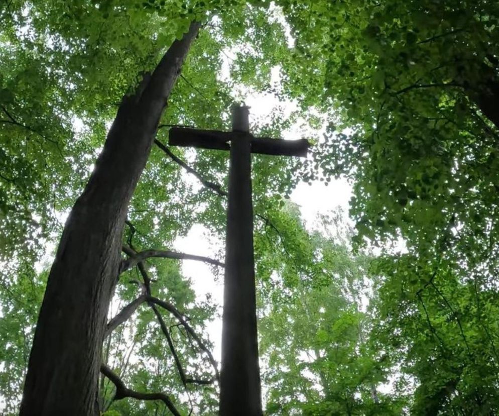 Zapytaliśmy AI o najstraszniejsze miejsce na Podlasiu. Wybór Cię zaskoczy!