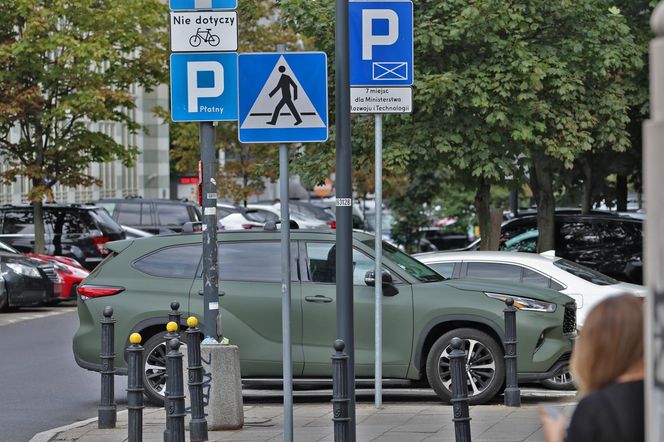 Marcelina Zawadzka ma ręce pełne roboty