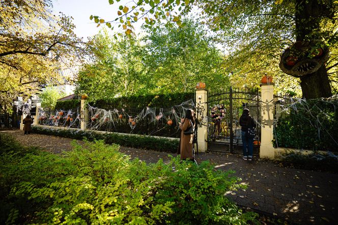 Willa na Jaśkowej Dolinie w Gdańsku