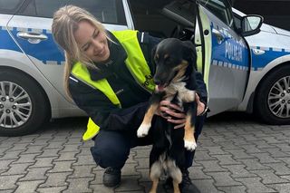 Policjanci z Raciborza uratowali pupila