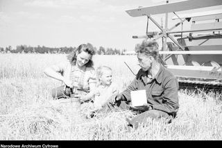 Państwowe gospodarstwo rolne