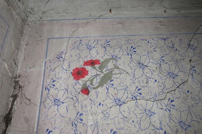 Warszawa. Oficyna Burkego