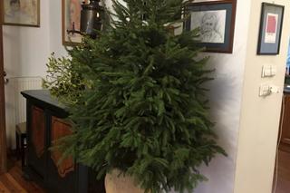 Tak mieszkają Zborowski i Winiarska