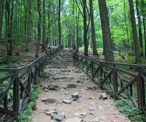 QUIZ. To góra w Pieninach, Beskidach czy Górach Świętokrzyskich? Najpierw pytamy o Łysicę