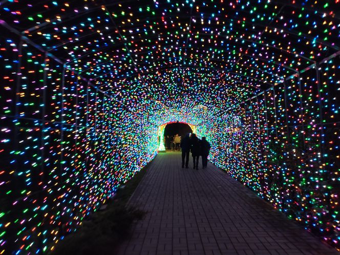 Park iluminacji w Lublinie