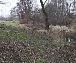 Spacer doliną Bystrzycy na lubelskim Wrotkowie