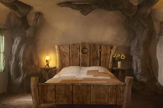 Niesamowita oferta dla szczęściarzy. Dom Shreka do wynajęcia! 