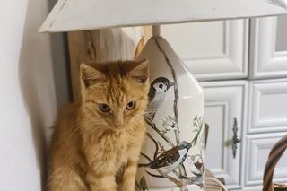 Malarka Julita - urok polskiej wsi