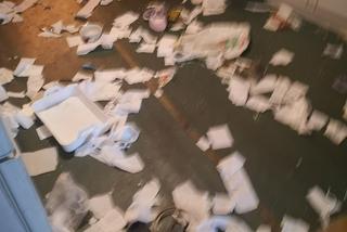 W takim mieszkaniu przebywał sześcioletni chłopiec z Bytomia