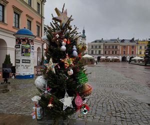  Zamojskie przedszkola i szkoły dekorowały choinki