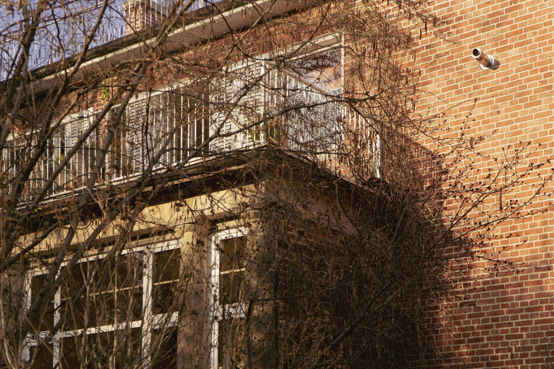 Willa Maxa Berga we Wrocławiu