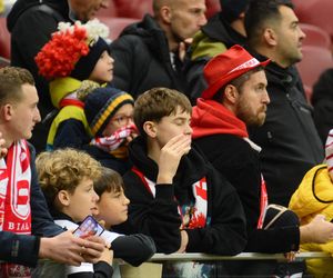 Polska - Holandia: Kibice na meczu. Znajdź się na trybunach