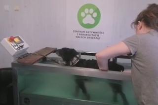 Ćwiczą dla parówki