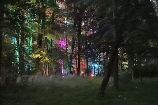 Olsztyn zamienił się w magiczną krainę. Park Świateł przyciągnął tłumy!