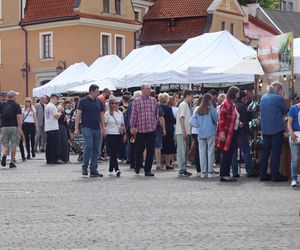 Tłumy na placu Zamkowym w Lublinie