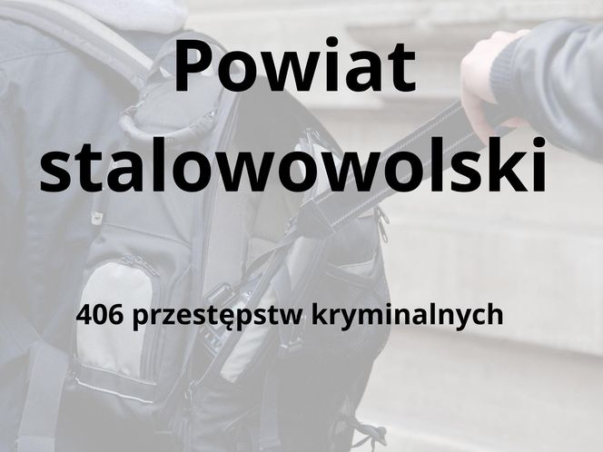 To tu na Podkarpaciu dochodzi do największej liczby przestępstw kryminalnych