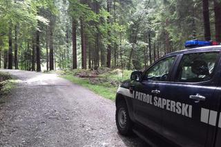 Akcja saperów w okolicach Wodospadu Szklarki w Karkonoszach. Znaleziono niemal 1300 niewybuchów