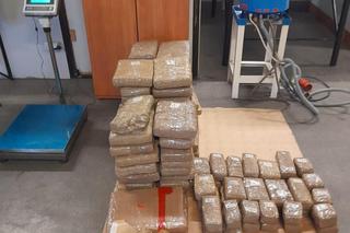  Korczowa. Miały być mrożonki. Znaleźli prawie 300 kg haszyszu w chłodni ciężarówki!