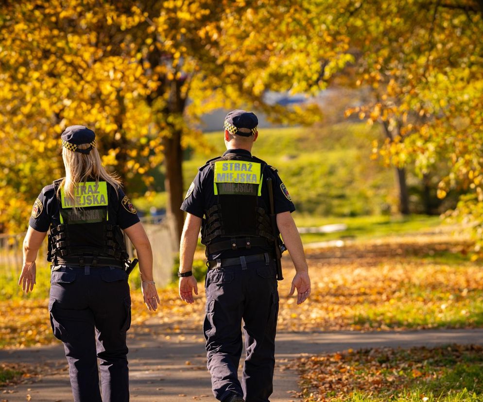  Jesienne porządki mogą słono kosztować. Za palenie liści grozi wysoki mandat