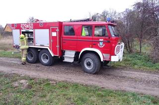 Krowa utknęła w błotnistym rowie. Bohaterska akcja strażaków pod Drawskiem