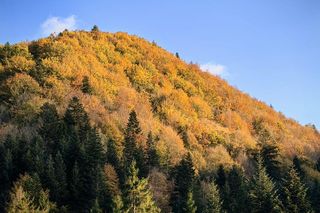 Jesień w Bieszczadach. Te zdjęcia robią wrażenie!